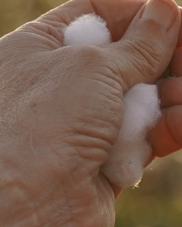 Mano con algodón